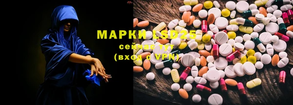 spice Алзамай