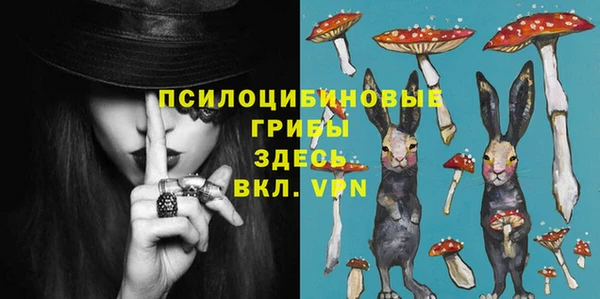 spice Алзамай