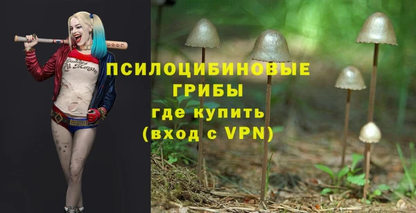 скорость Абаза