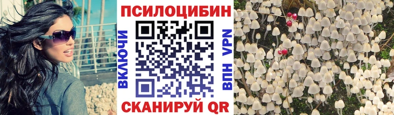 нарко площадка состав  Черноголовка  Галлюциногенные грибы прущие грибы  купить закладку  blacksprut рабочий сайт 